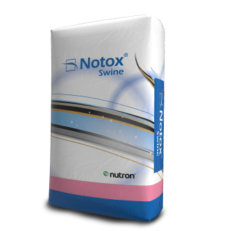 Notox Swine